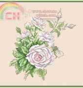 Veronique Enginger - La Rose Chassée