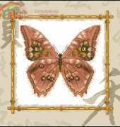 Zolotoe Runo MB-002 - The World Around Us - Morpho Amphitrion by Alina Ilyina