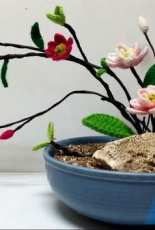 Magnolia denudata