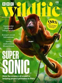 BBC Wildlife Magazine - April 2026