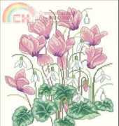 Delicate Delights from Cross Stitch Collection 113