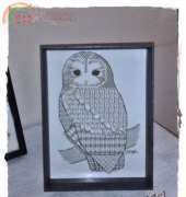 Owl on blackwork