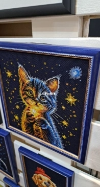Collection DArt - BC8116 - Kitten Secret Stars SAGA