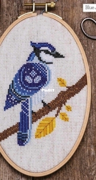 Blue Jay Hoop by Max Pigeon from The World of Cross Stitching 356 PCS + XSD