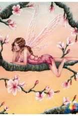 HAED - HAEKRM 1924 Sunset Blossoms by Kirstin Mills