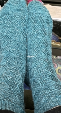 Poco Socks by Tamara Kosinski-Free