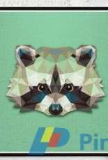 Velvet Pony Design - Geometric Raccoon