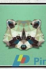 Velvet Pony Design - Geometric Raccoon