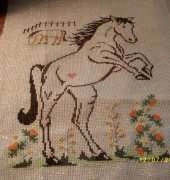 Horse picture for my granddaughter