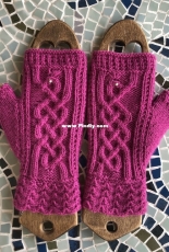 Hic Sunt Dracones by Sabine Kastner