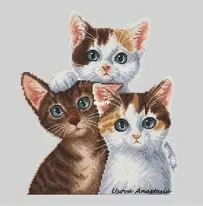 Kittens by Usova Anastasia