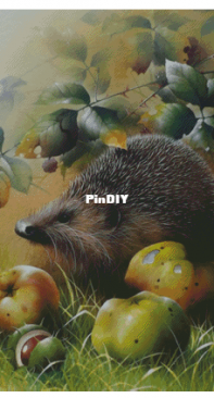 String Theory Inc - Bramley Hedgehog by David Finney