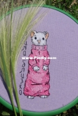 Mouse in sweater