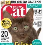 Your Cat Magazine - March 2015