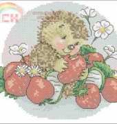 DMC Country Companions - Strawberries