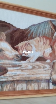 Друзья.