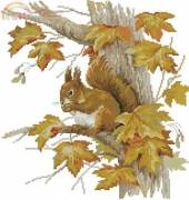 Panna ZH-1472 Squirrel
