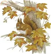 Panna ZH-1472 Squirrel