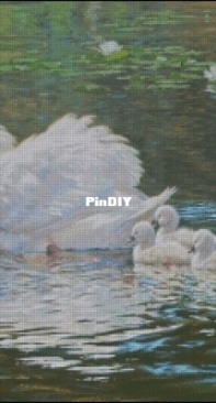Fox s crosses- Swan Family by Maria Glibina