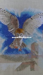 Owl in flight.