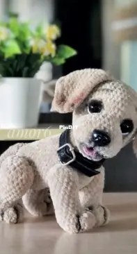 Ami Amor6 - Olga Tseplyaeva - Puppy Labrador - English French Spanish and German