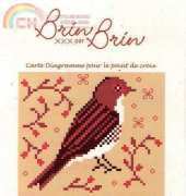 Brin par Brin - Oiseaux de nos jardin n°4