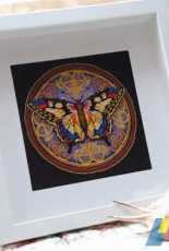The Ornate Butterfly by Dimensions