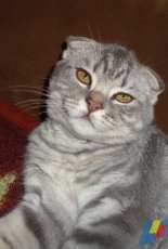 unsere Prinzessin