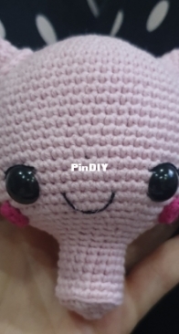 (c)uterus