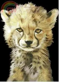 Kustom Krafts JW-007_Baby Cheetah