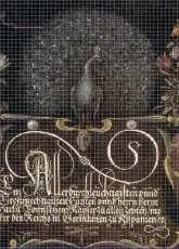 Odds & Ins Online - Hoefnagels Peacock With Arrangement