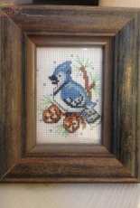 Framed Blue Bird