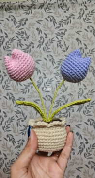 Twin Tulips Pot
