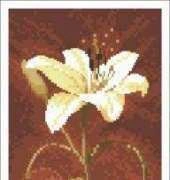 Heritage Stitchcraft - Connections CNDL598 Day Lily by John Clayton XSD