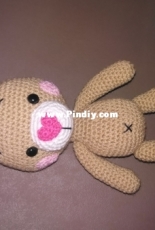 bunny
