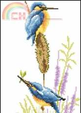 Vervaco - 25.156 - 70.156 - 75.156 - Kingfishers PCS