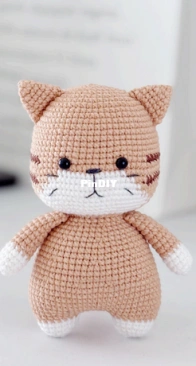 Beary Bearnita - Phạm Hiền Hạnh - Cat
