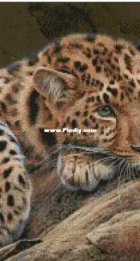 Leopard by Natalia Supenko XSD