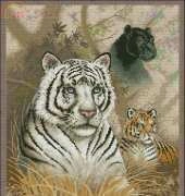 Dimensions - The Gold Collection 35052 Eyes in the Wild XSD