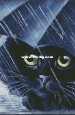Chimera - Cat Under An Umbrella XSD