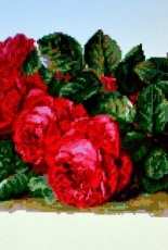 Roses on the table from Palette Magzine 2007.01 XSD