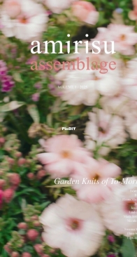 amirisu assemblage Volume 1 / 2025