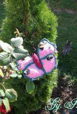 Butterfly in the garden