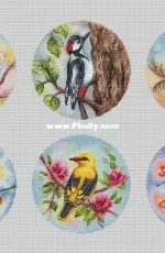 Birds -  Bullfinch / Oriole /  Kingfisher / Swallow /  Bluetit and Apple Blossom / Woodpecker by Elena Lartsova