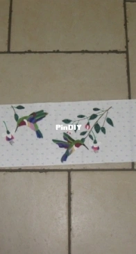 birds