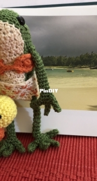 Frog at the beach