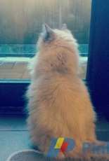 Watching the rain