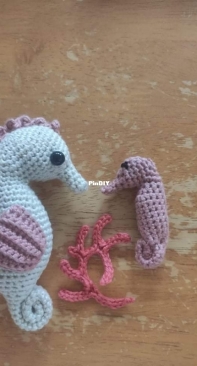 Seahorse - tournicote