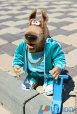 Hostessy - Evgenia Sorokina - Doggie Dick - Russian