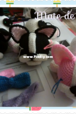 Boston terrier en proceso